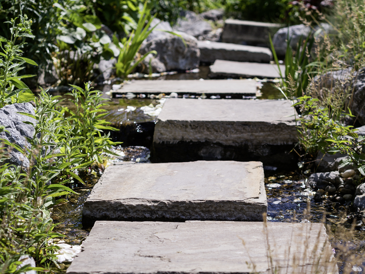 natürlicher Weg zum Pool